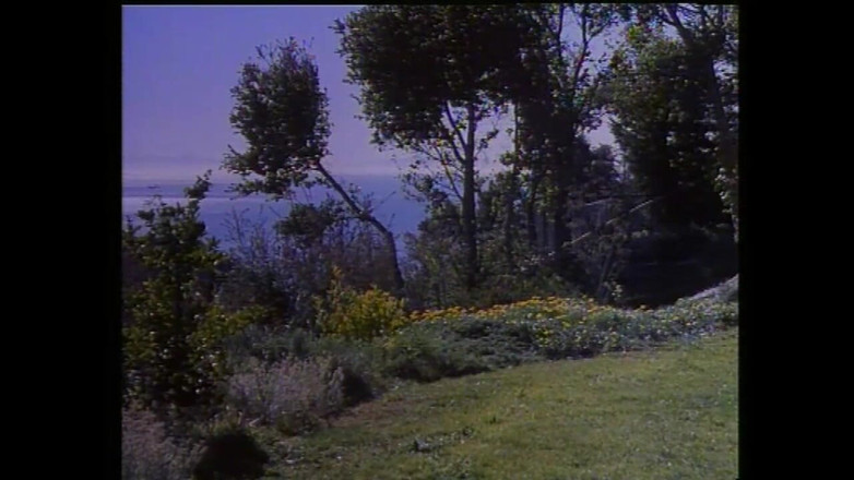 Rocco Siffredi and Friends: Рокко Сіффреді: молодший і більший - епізод 4