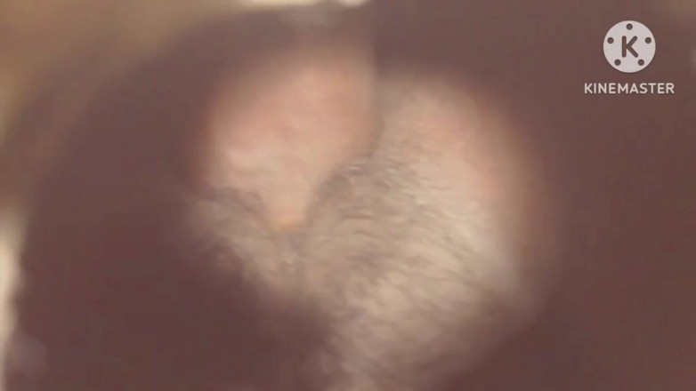 X priyanka: Fucking My Stepsister-in-law Until She's Sore