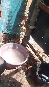 Outdoor Shower Experience the African Way with My Ebony Girl