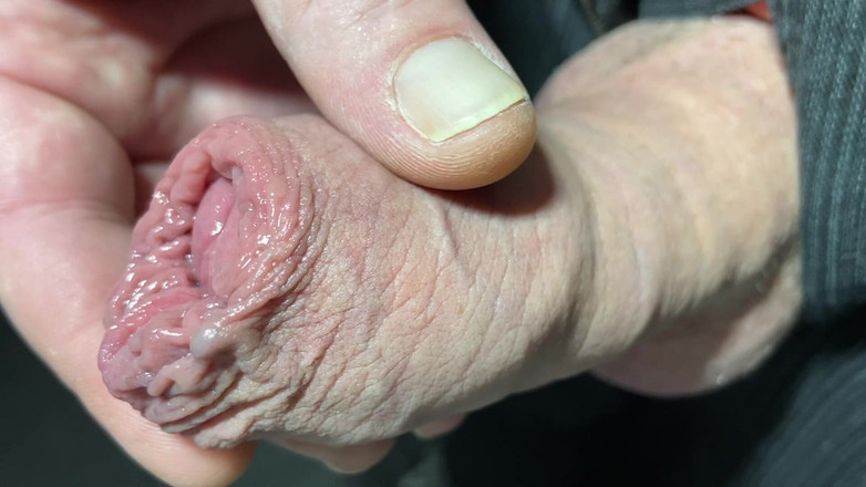 Foreskinguy: Ngocok kontol cowok kontol besar sampai kulup pelan