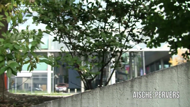 Aische Pervers: Her first pisswalk
