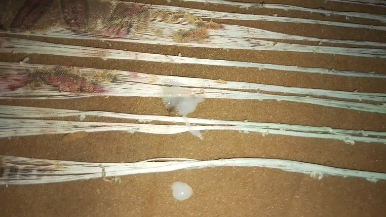 Masturbator emmy: Bez své přítelkyně se stále můžete bavit: zde je jak