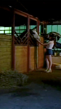 Fields of Desire - Country Temptation.