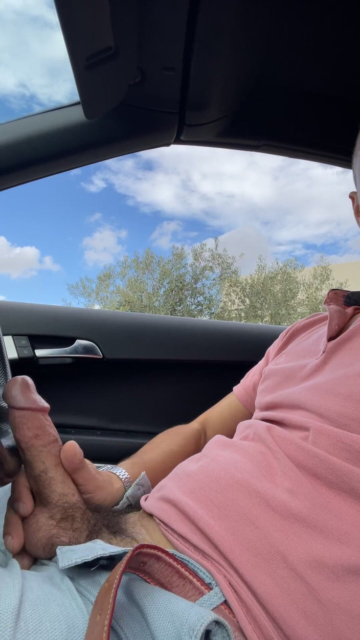 Sapiens Erectus: 팬용