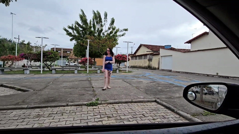 Lorrany exotica: While I Was Cooling off in the Little Square, a...