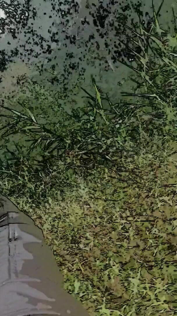 Slutboyben: Slutboyben cam4 - exposição de observador brainfukked