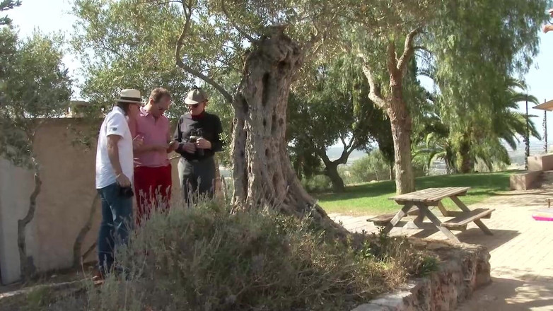 MMV Films and Clips XXX: Ich Ficke Deine Muschi! Vol.2