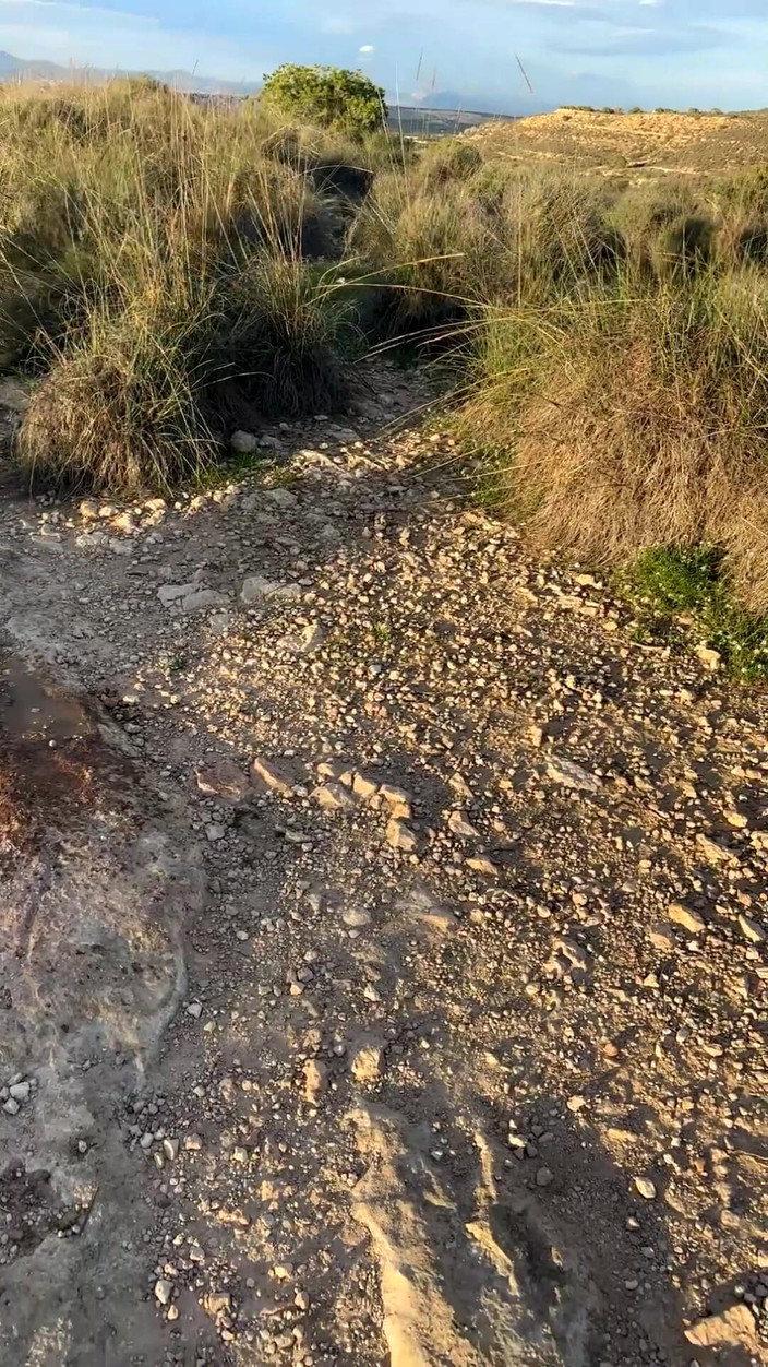 Sheryl X Sinclair: Die vollste outdoor-pissing-zusammenstellung 2025!