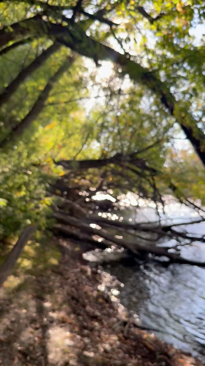unemployedrobot: Publiczna masturbacja Boise Idaho Greenbelt Bike Walking Trail
