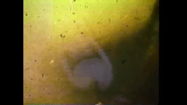 The Unforgettable: Masturabada gila