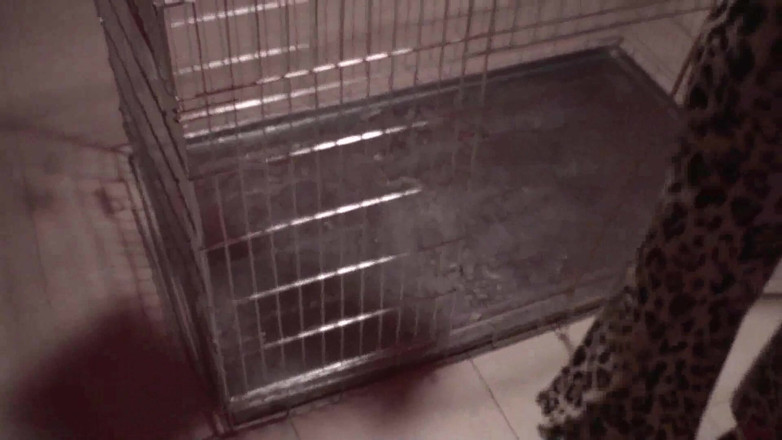 Femdom Austria: She makes her pet clean his cage