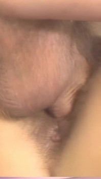 The King of Porn
