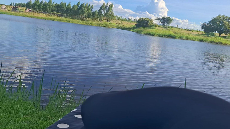 BMCs: 세상에서 가장 좋은 경치에서 내가 사랑하지만 평생을 위해서의 천국 섹스