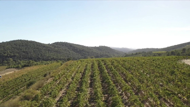 Jet sex prod: Parthouze in the Var Vineyards