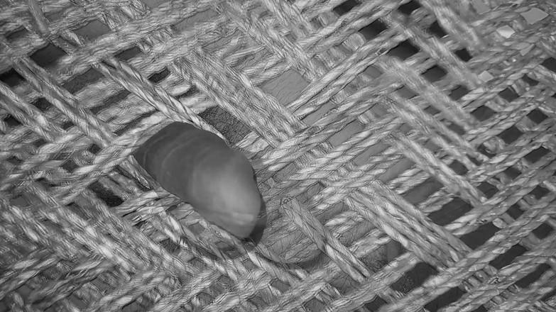 Desi_Porn_India: Video kompilasi video hot pasangan gay india lagi asik dicrot...