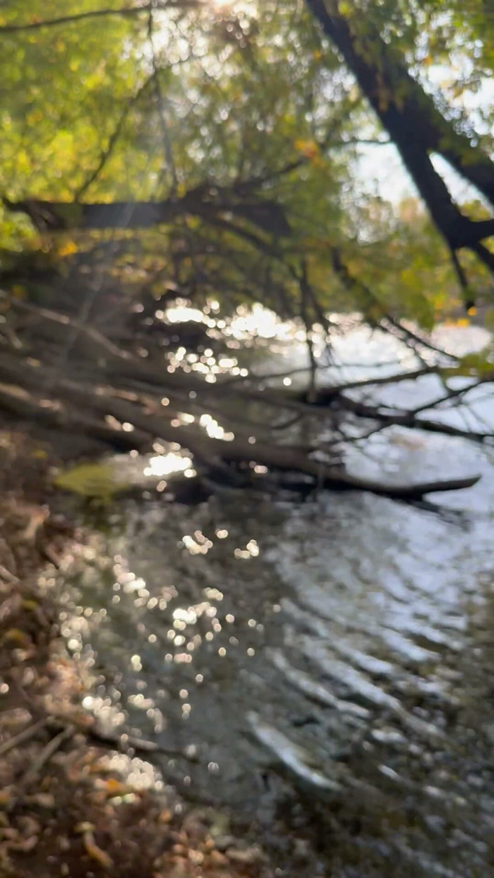unemployedrobot: Öffentlicher Masturbation boise Idaho Greenbelt Fahrradweg