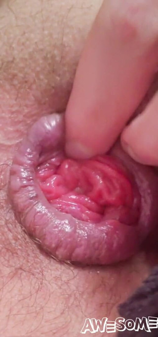 ANTHO St-Armand: Tak wygląda róża