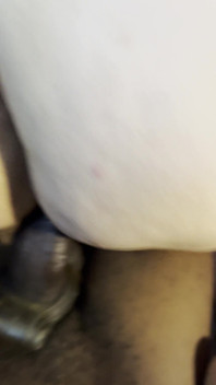 BBC Backshots and PAWG Pussy