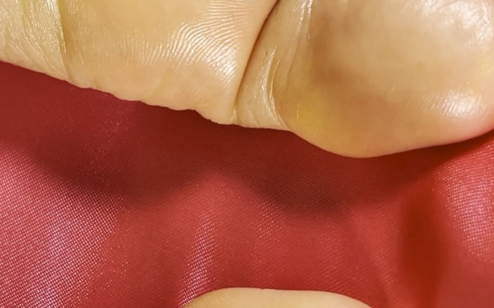 Pink Foxx: Solas Dominadoras De Tela JOI