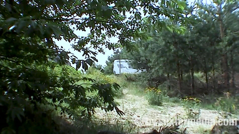 Sextermedia by Pete: スインガーモービルのダブル