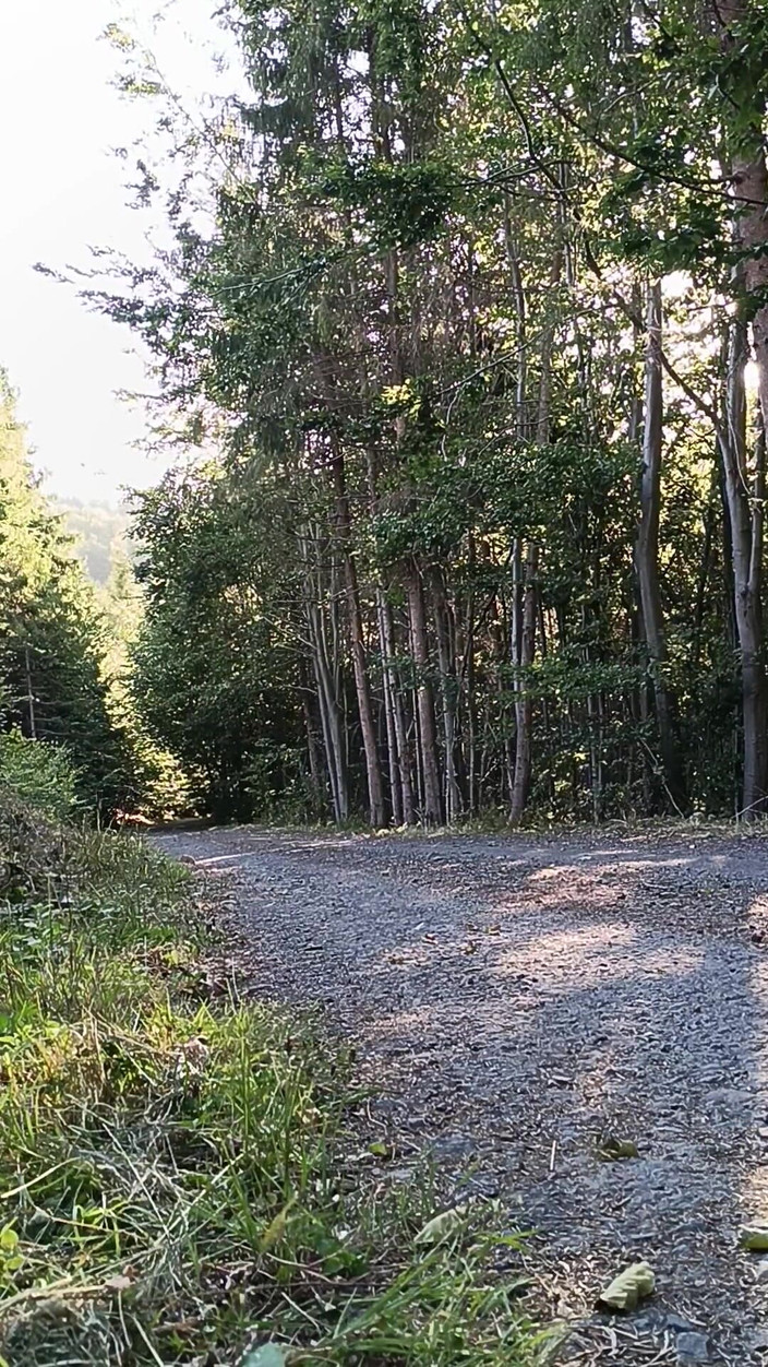 kickerscooter: Наїзниця на скутері, мастурбація на відкритому повітрі