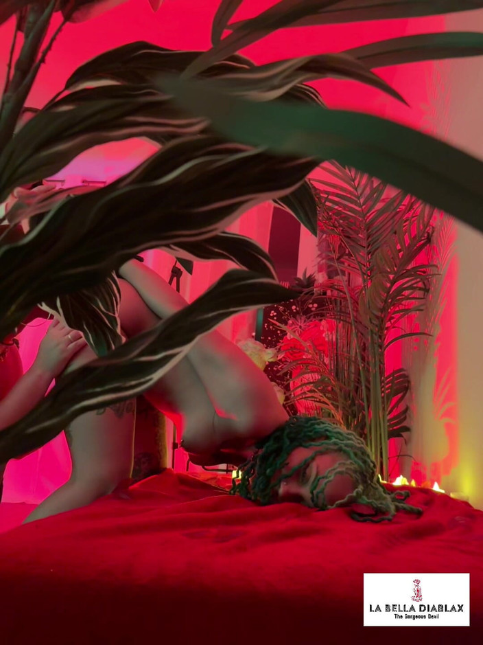 LaBellaDX: レッドパッションBTSとWetkittycityの関係