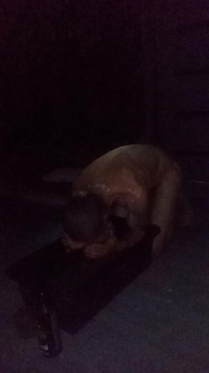 Red696969: Mandi lucah