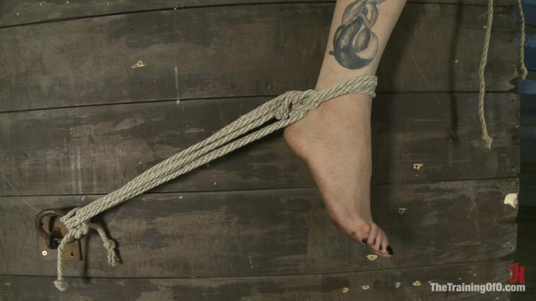The Training of O by Kink: Ultimate Obedience: Heights, Drowning, and the Dark