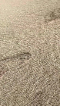 Tim Blesh Cumshot Outdoor on the Beach