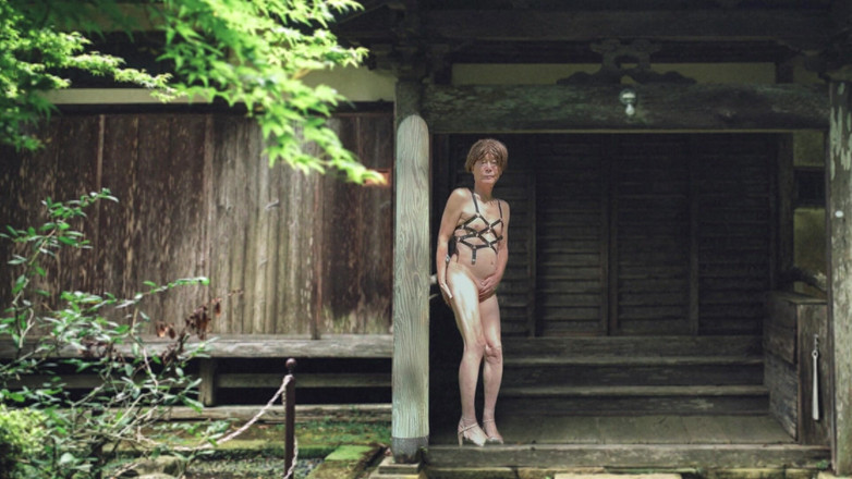 Pai-chan: Japanese Old House dan Pai-Chan