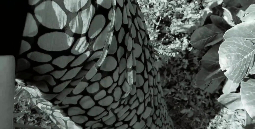 Hemant sarita: Đưa tôi vào rừng, cô ấy nói, đụ tôi, Rajaji, tôi cảm...