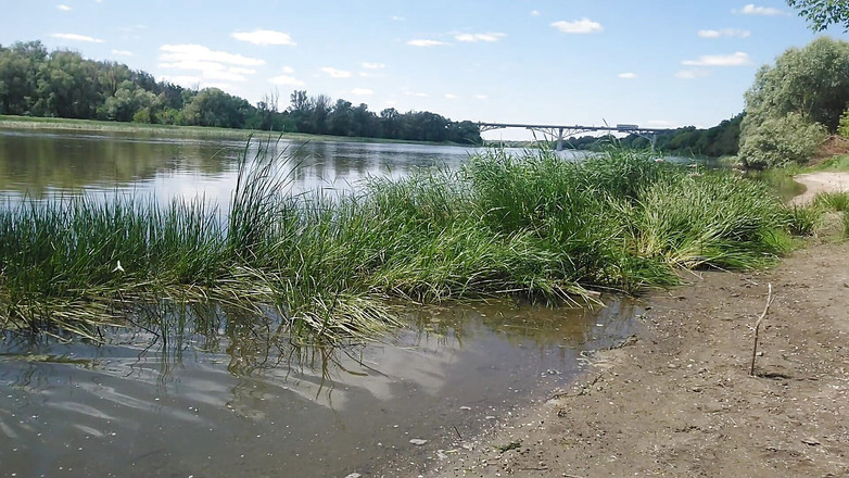 Alexa Cosmic: Alexa Cosmic la transgirl che nuota in abiti river in...