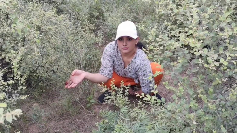 Khushboobhabi: 女孩来散步，一个男孩亲吻女孩的嘴