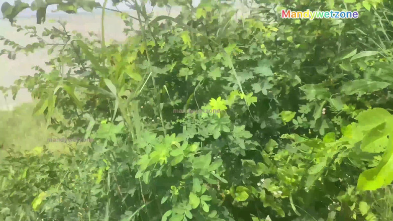 Mandywetzone: 마누라의 첫 비디오는 매우 수줍어하지만 마침내 합의