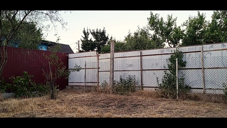 Bear mr: Reguli fierbinți pentru jocul ocazional