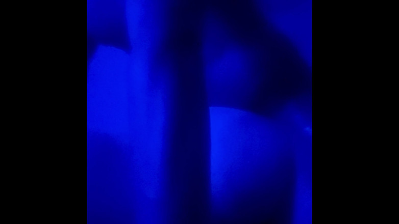 Eat-the-cooch: Nice Anal Fuck on My BBW