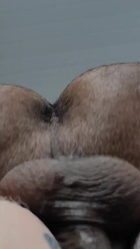 Levando Pau Grande Na Bunda Apertada Ate Ficar Muito Aberta