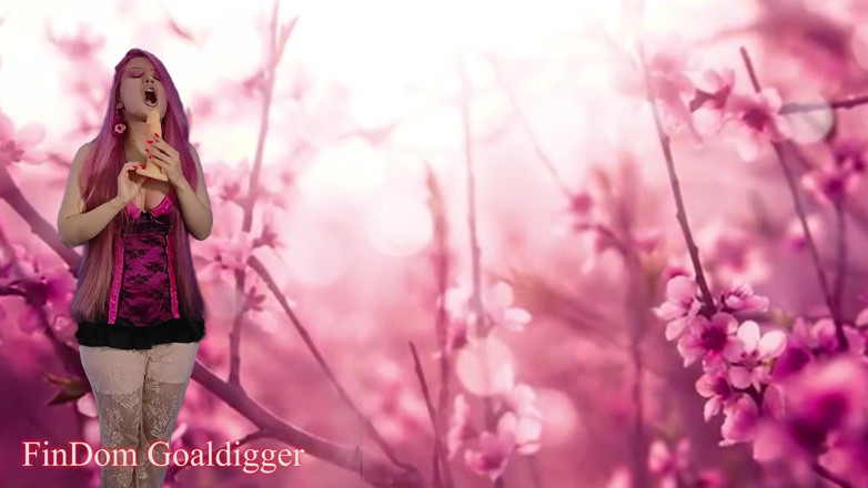 FinDom Goaldigger: İyi bir kadın kılıklı yalayıcı ol - bölüm 2