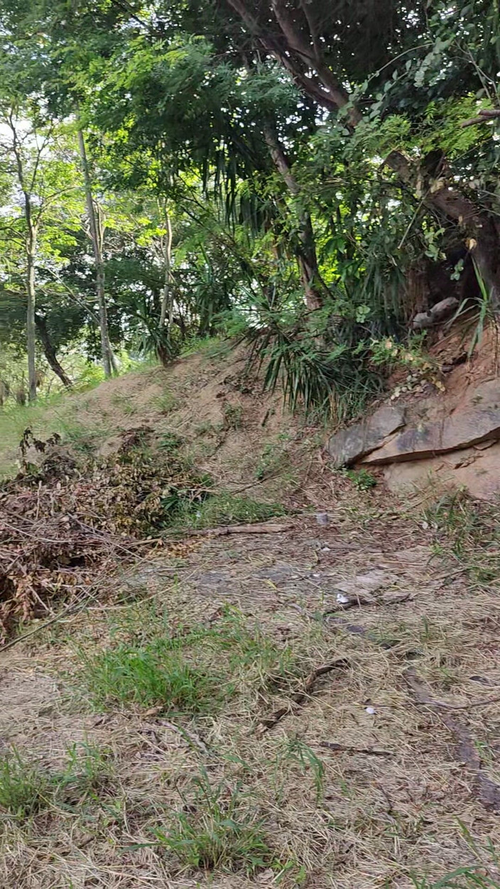 Lily Slav: एक पिल्ला की तरह जंगल में टहलने के लिए जा रहे हैं