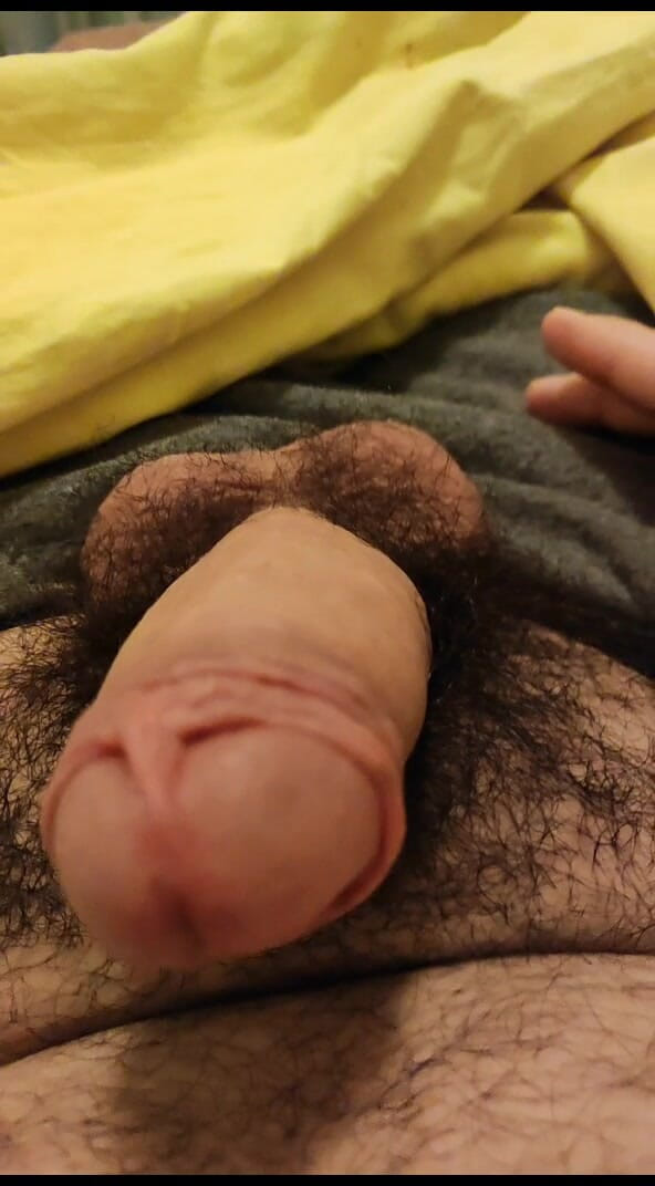 Alext: Sozinho em casa 9973