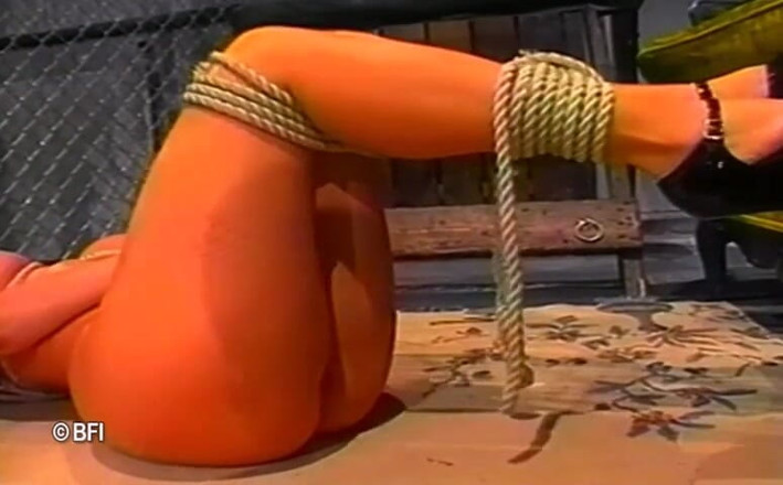 Art of Bondage: Kristas walka i niewola - DVD