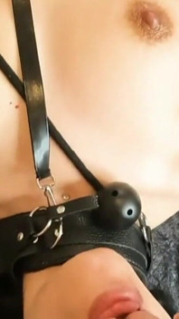 Latex Times