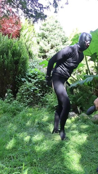 Wild Pegging