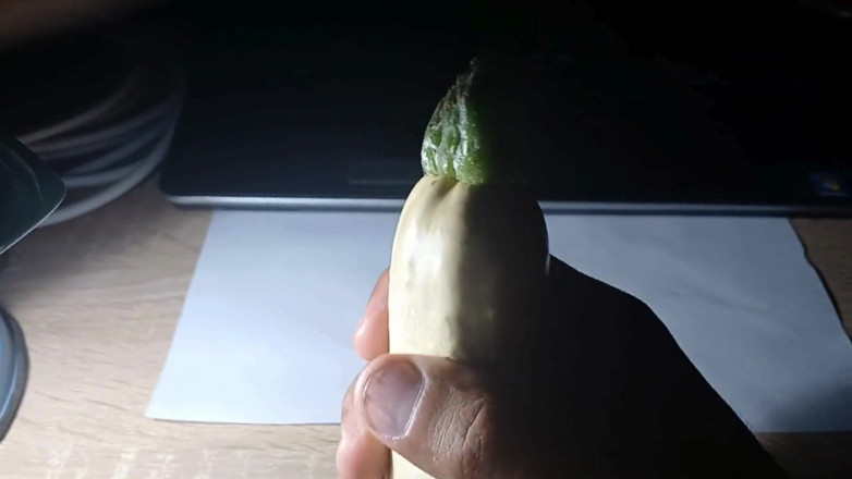 AlexCat: Hot Zucchini