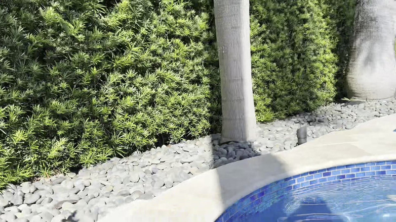 Teddy Tarantino: Awek putih berpantat tebal dengan pantat yang bagus - creampie di...