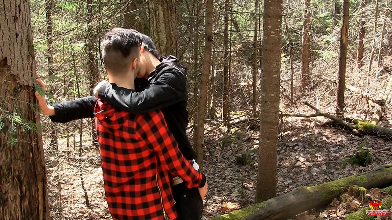 Phoenixxx: Drewno w kabinie Daniel bierze każdy cal