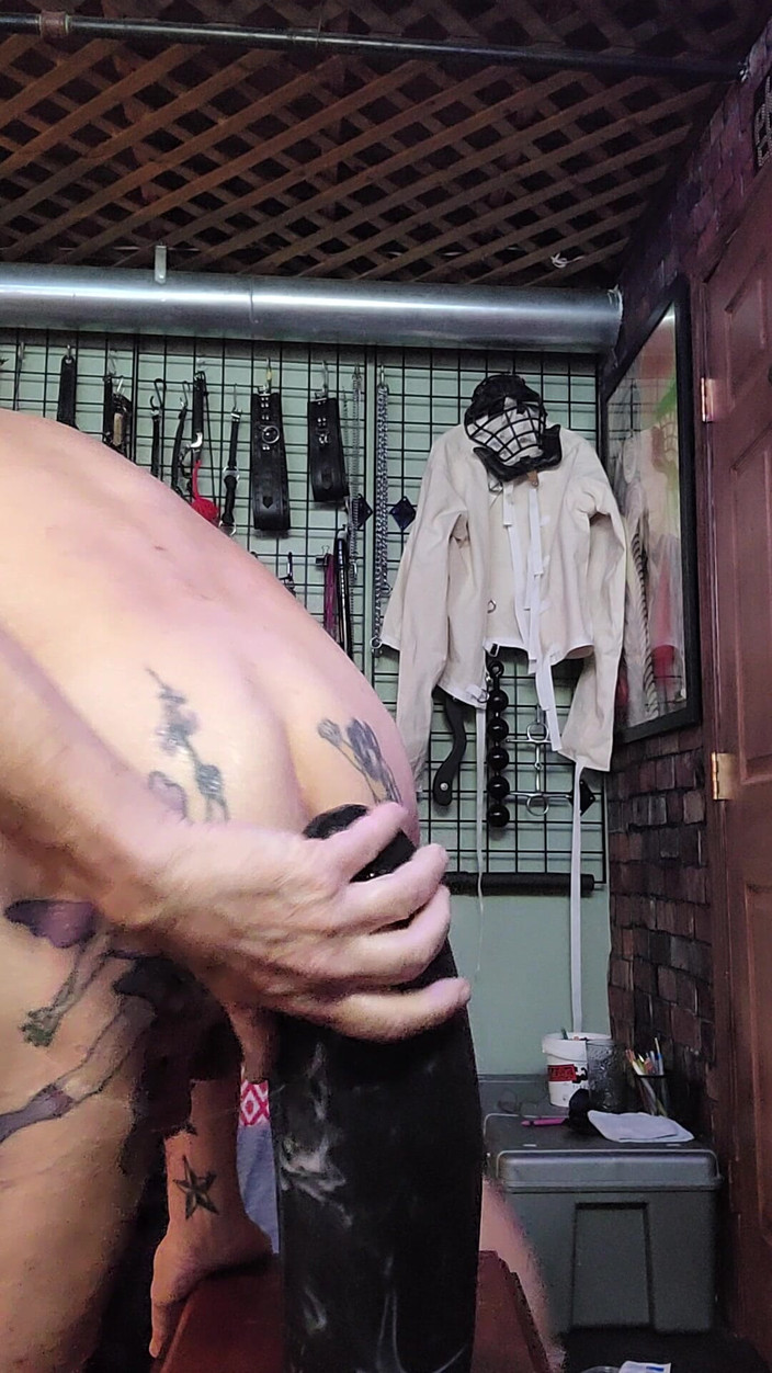 City hog: Làm thế nào để thay đổi một cái mông mệt mỏi