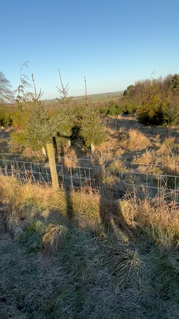 J3rm41n3: Nahý výlet. Oblečení opuštěné. - 2 Celsia