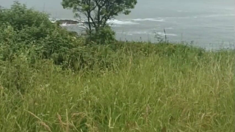 Amadeus studio: Robyn nimmt mich hart ohne gummi