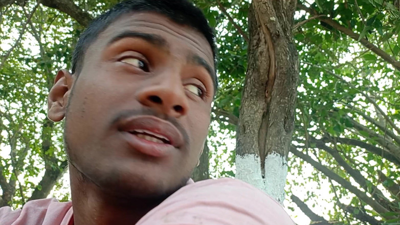 LinearOrnament35: Rozmowa wideo